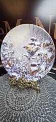 Wedgwood Porselen Kış Bahçesi Temalı Duvar Tabagı 22 Cm Çap